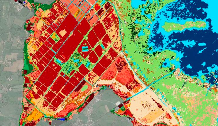 Exemple de cartographie des habitats naturels de sites Natura 2000 : Grandlieu (Loire-Atlantique)